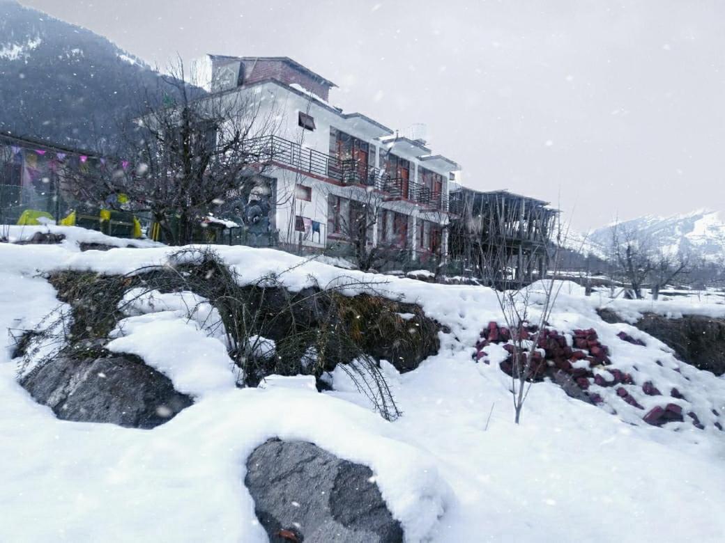 Farm Hostel And Camps Manāli Kültér fotó